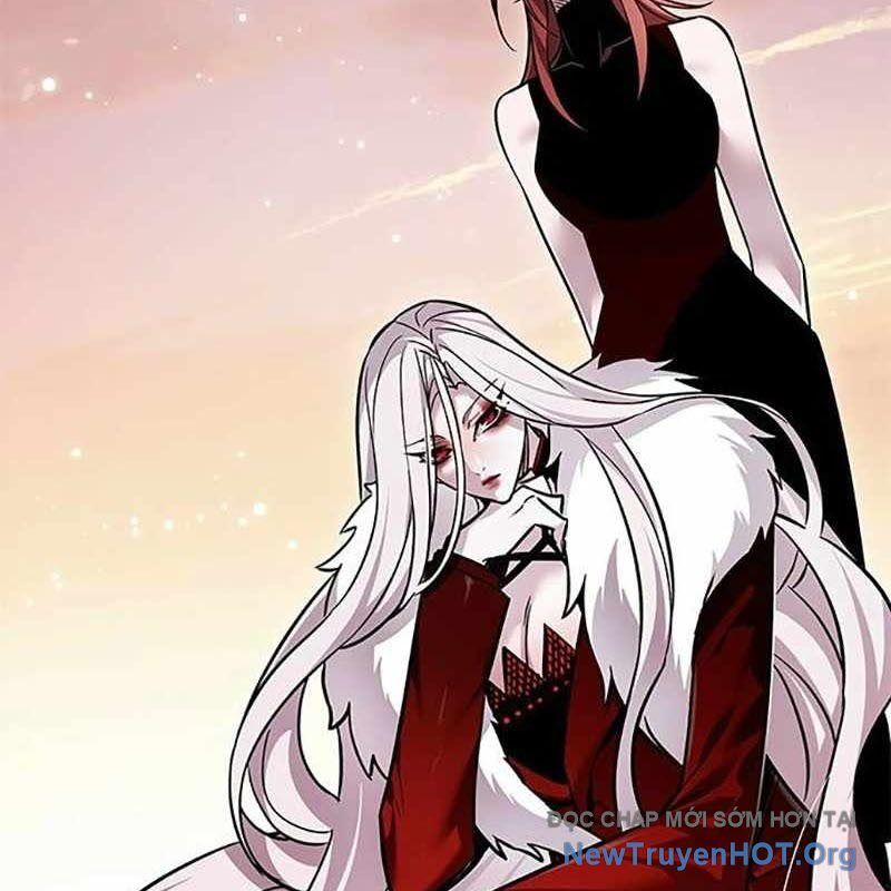 Hoá Thân Thành Mèo Chapter 366 - Trang 2