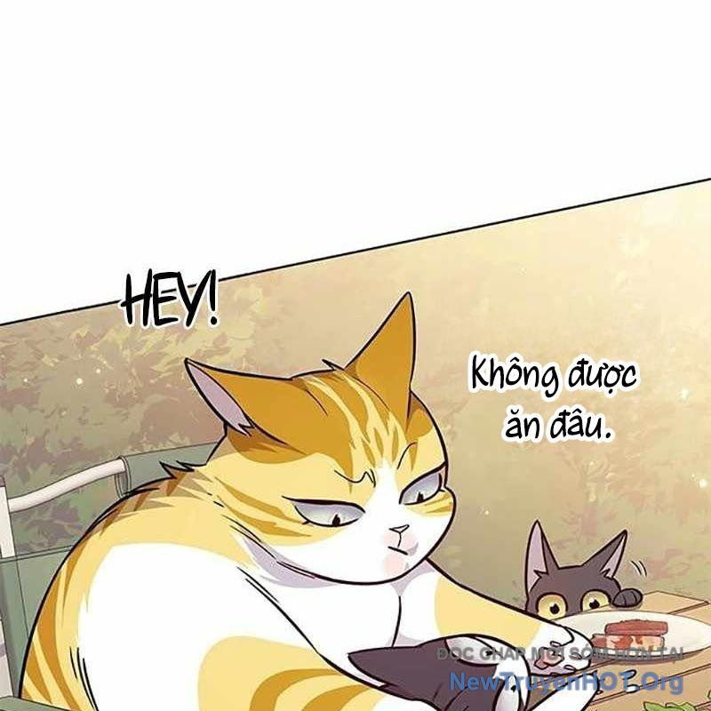 Hoá Thân Thành Mèo Chapter 366 - Trang 2