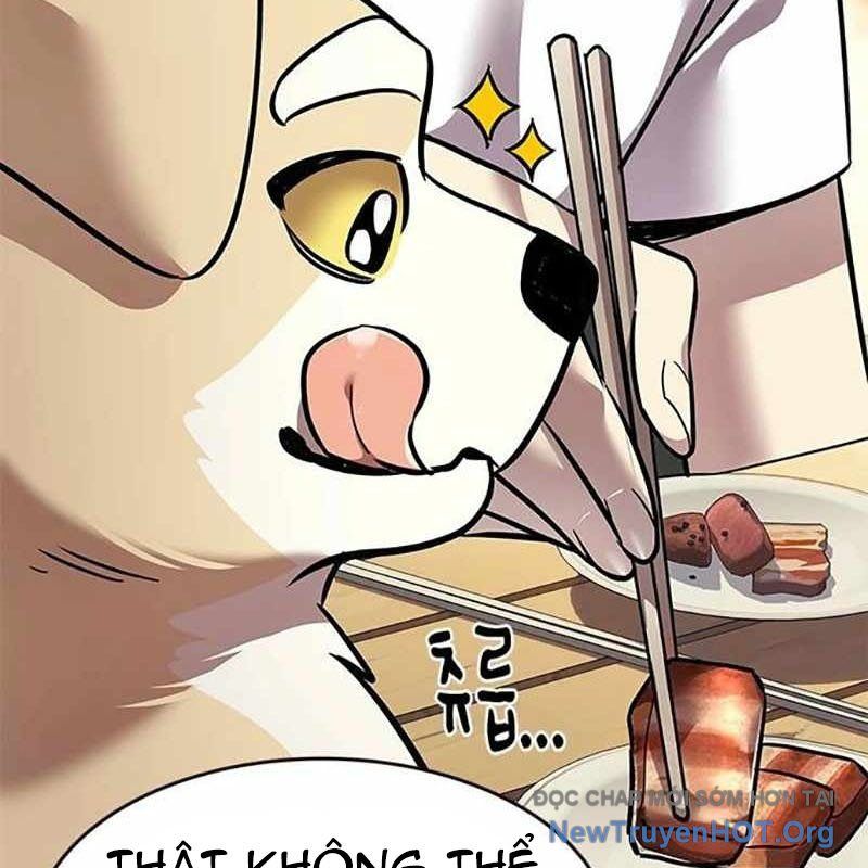 Hoá Thân Thành Mèo Chapter 366 - Trang 2