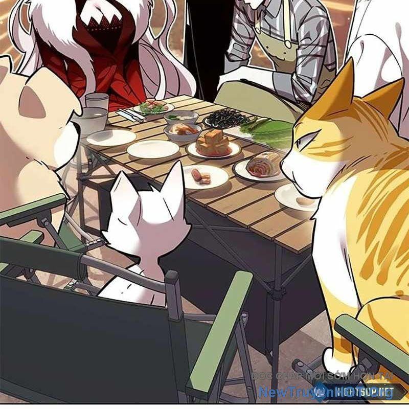 Hoá Thân Thành Mèo Chapter 366 - Trang 2