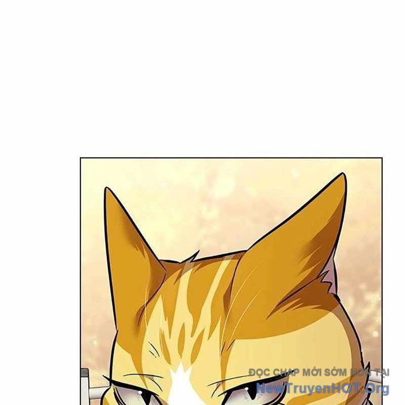 Hoá Thân Thành Mèo Chapter 366 - Trang 2