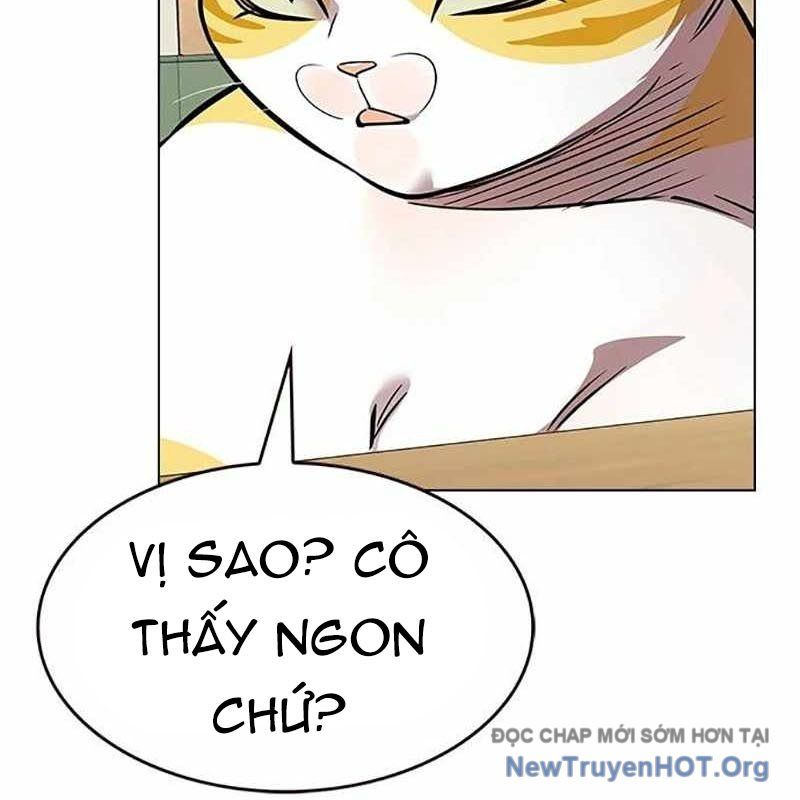 Hoá Thân Thành Mèo Chapter 366 - Trang 2