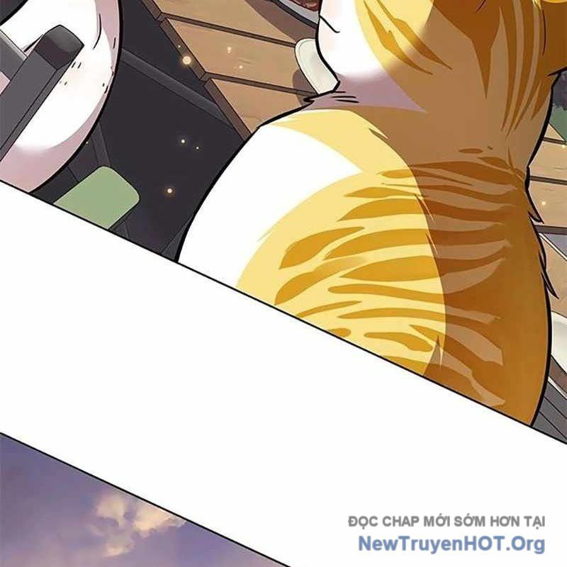 Hoá Thân Thành Mèo Chapter 366 - Trang 2
