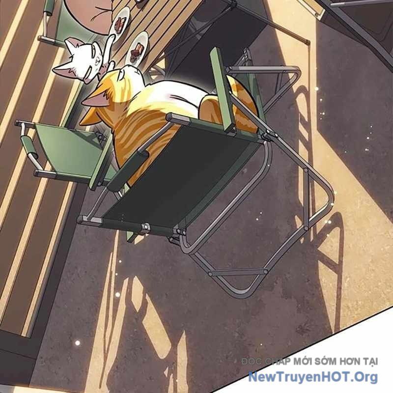 Hoá Thân Thành Mèo Chapter 366 - Trang 2