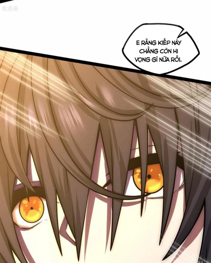 Đạp Toái Tiên Hà Chapter 343 - Trang 2