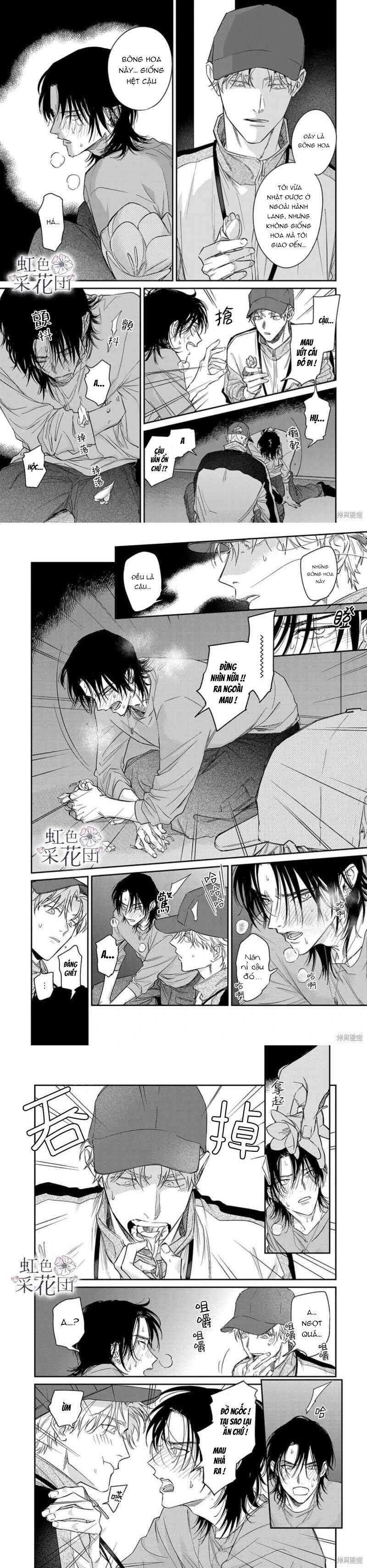 Nụ Hôn Cho Kẻ Trộm Hoa Chapter 1 - Trang 2