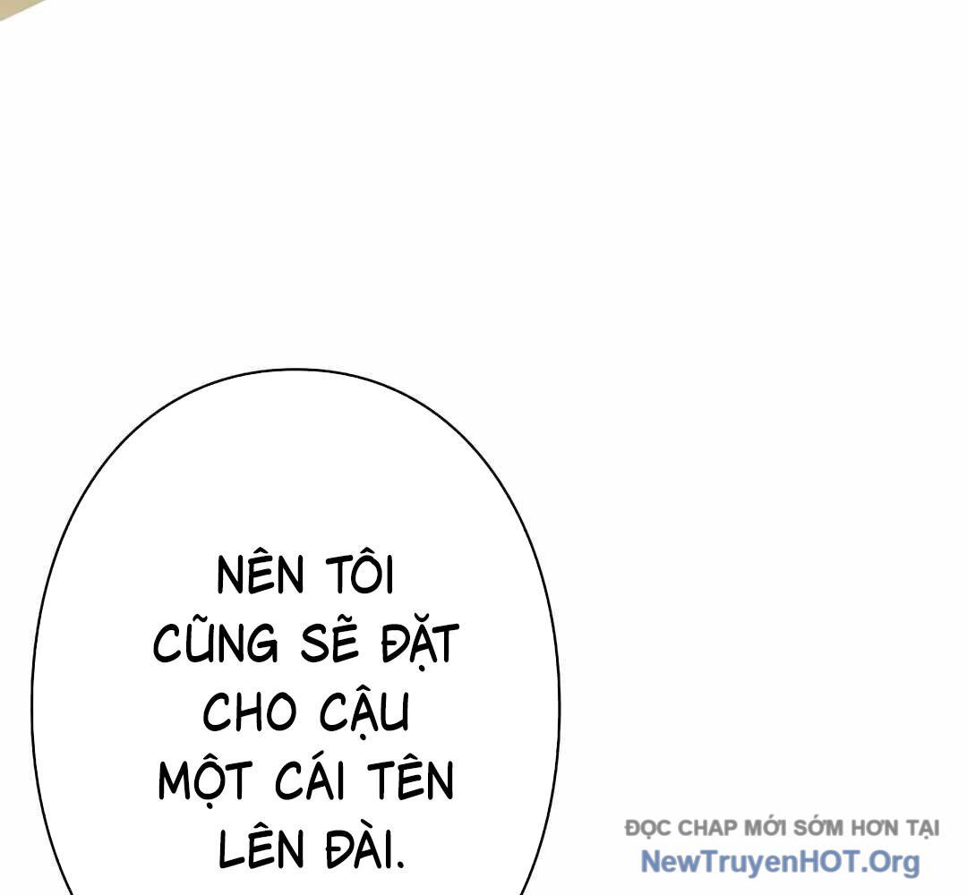 Ác Nhân Lồng Bát Giác Chapter 31 - Trang 2