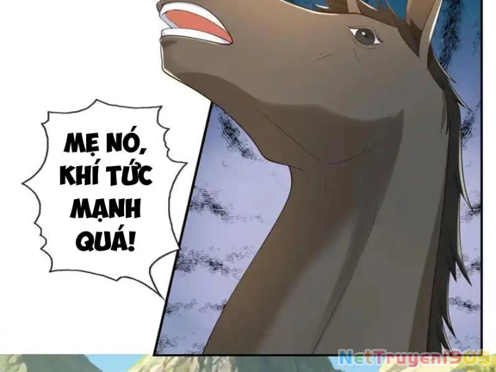 Ta Có Thể Đốn Ngộ Vô Hạn Chapter 279 - Trang 2