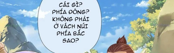Ta Có Thể Đốn Ngộ Vô Hạn Chapter 290 - Trang 2