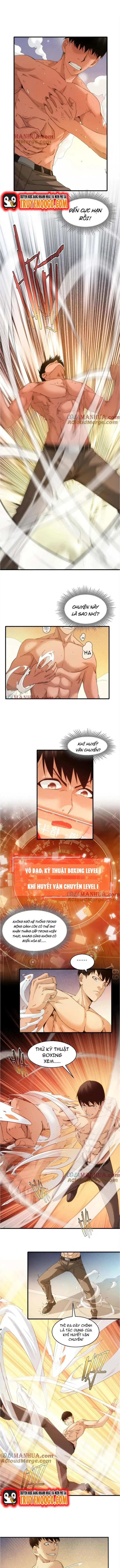 Cú Đấm Trời Giáng Chapter 21 - Trang 2