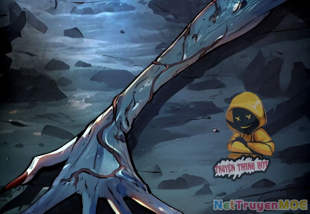 Thành Thần Bắt Đầu Từ Thủy Hầu Tử Chapter 19 - Trang 2
