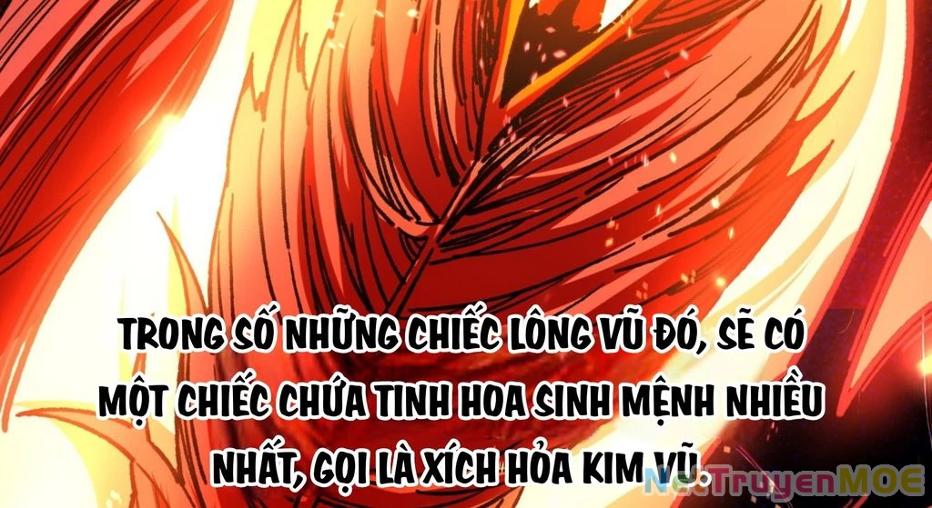 Thành Thần Bắt Đầu Từ Thủy Hầu Tử Chapter 19 - Trang 2