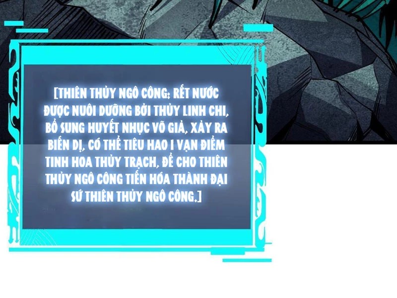 Thành Thần Bắt Đầu Từ Thủy Hầu Tử Chapter 27 - Trang 2