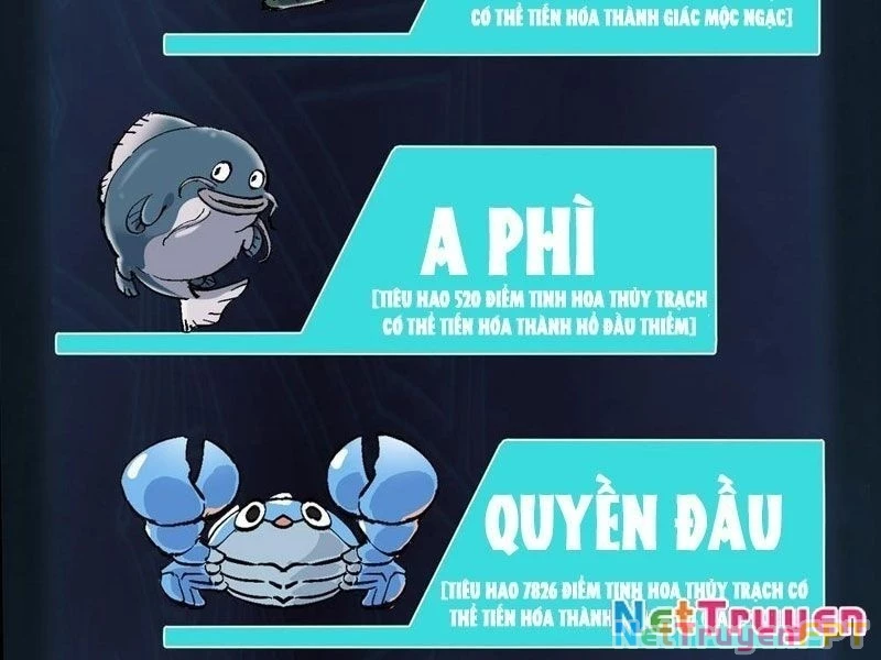 Thành Thần Bắt Đầu Từ Thủy Hầu Tử Chapter 27 - Trang 2