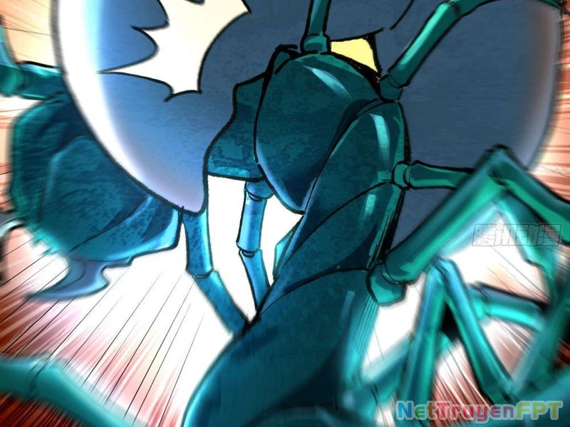 Thành Thần Bắt Đầu Từ Thủy Hầu Tử Chapter 27 - Trang 2