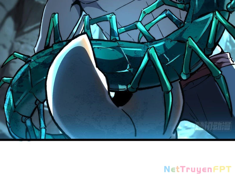 Thành Thần Bắt Đầu Từ Thủy Hầu Tử Chapter 27 - Trang 2