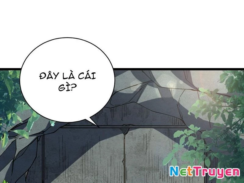 Thành Thần Bắt Đầu Từ Thủy Hầu Tử Chapter 35 - Trang 2