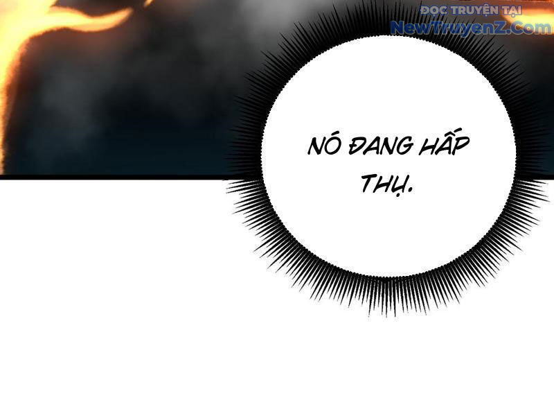 Thành Thần Bắt Đầu Từ Thủy Hầu Tử Chapter 38 - Trang 2