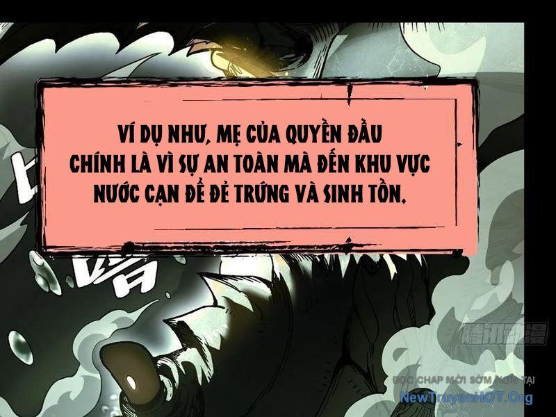 Thành Thần Bắt Đầu Từ Thủy Hầu Tử Chapter 51 - Trang 2