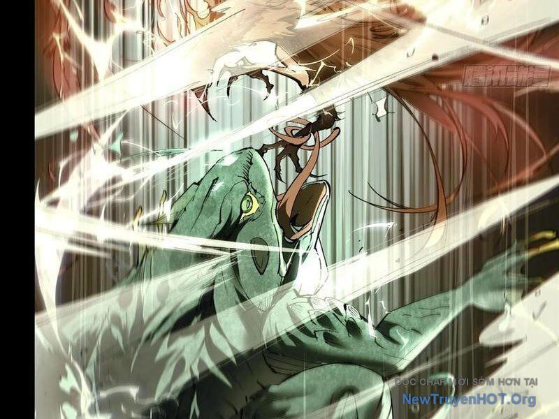 Thành Thần Bắt Đầu Từ Thủy Hầu Tử Chapter 51 - Trang 2