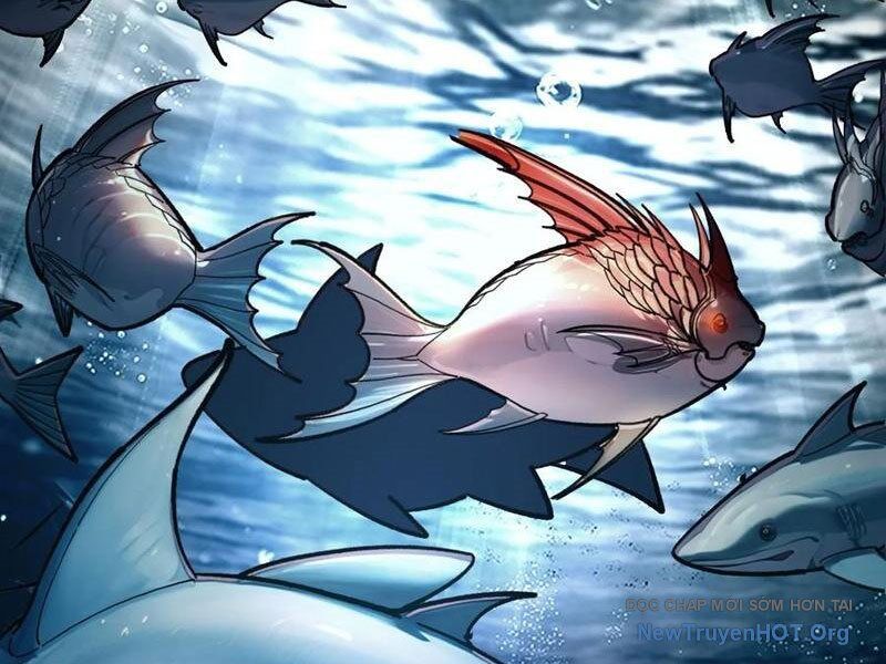 Thành Thần Bắt Đầu Từ Thủy Hầu Tử Chapter 51 - Trang 2