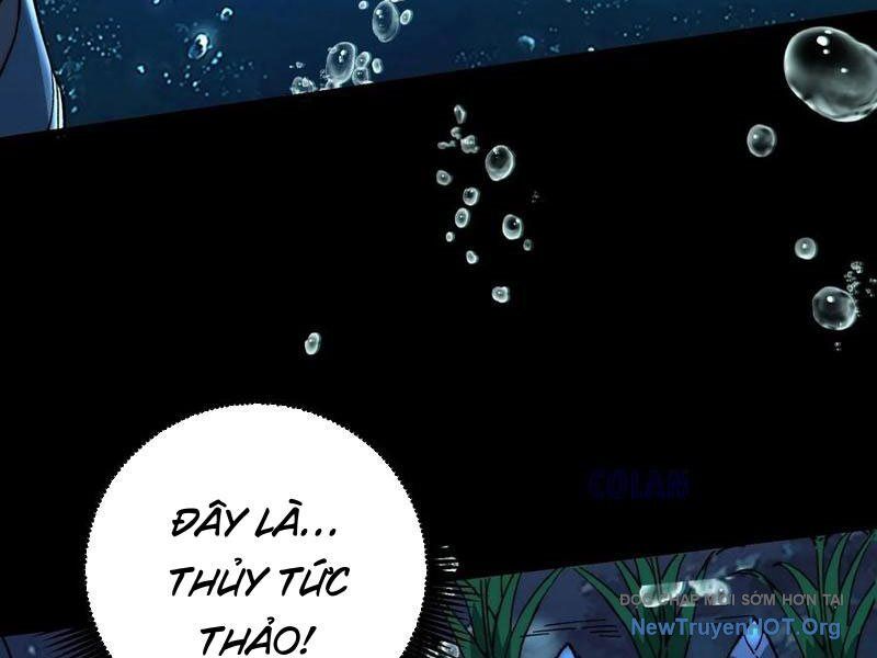 Thành Thần Bắt Đầu Từ Thủy Hầu Tử Chapter 51 - Trang 2