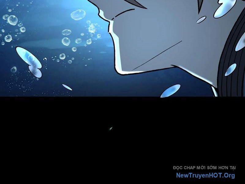 Thành Thần Bắt Đầu Từ Thủy Hầu Tử Chapter 51 - Trang 2
