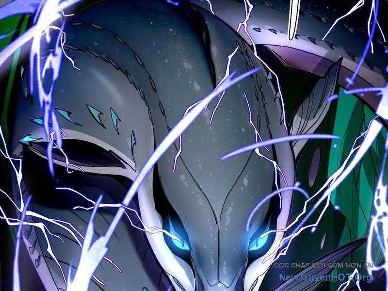 Thành Thần Bắt Đầu Từ Thủy Hầu Tử Chapter 51 - Trang 2