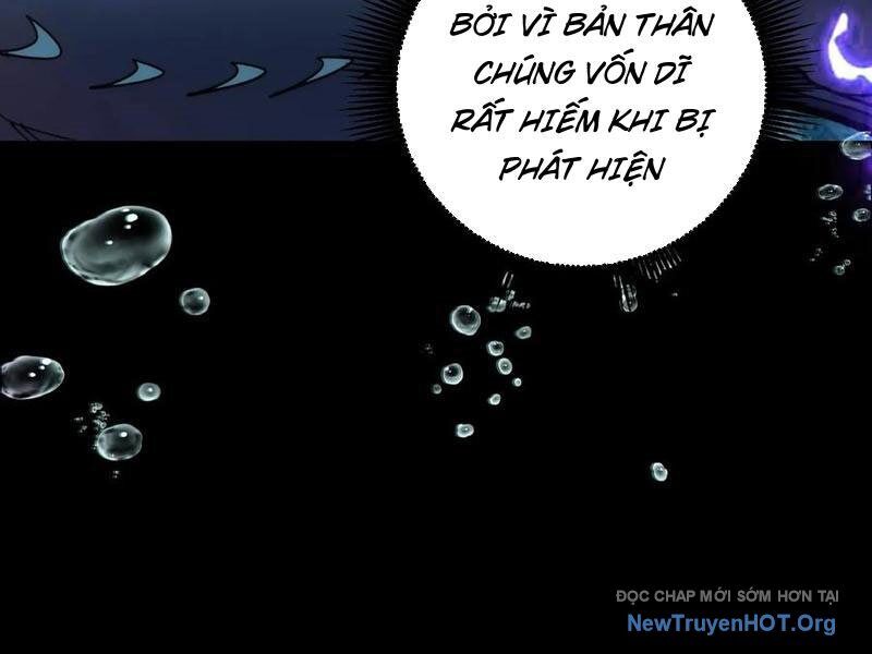 Thành Thần Bắt Đầu Từ Thủy Hầu Tử Chapter 51 - Trang 2