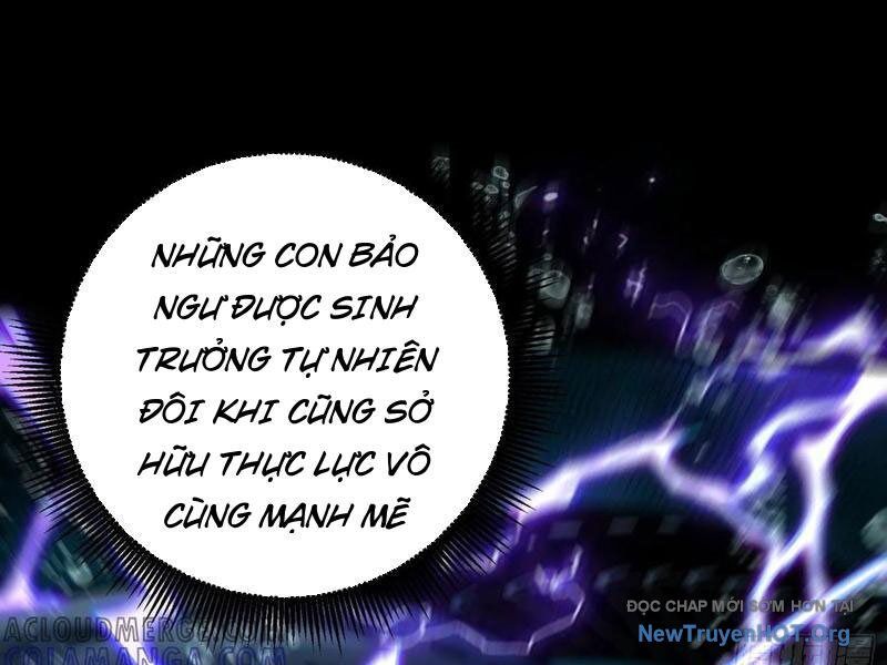 Thành Thần Bắt Đầu Từ Thủy Hầu Tử Chapter 51 - Trang 2