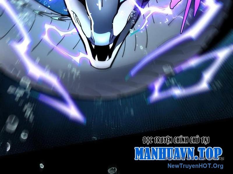 Thành Thần Bắt Đầu Từ Thủy Hầu Tử Chapter 51 - Trang 2