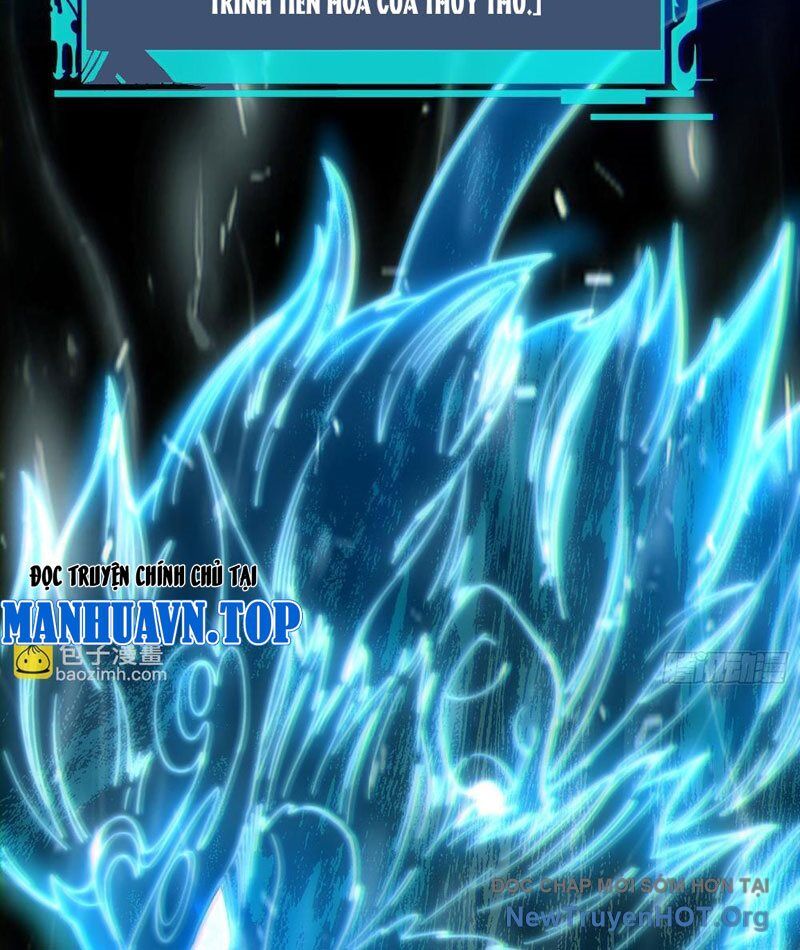 Thành Thần Bắt Đầu Từ Thủy Hầu Tử Chapter 53 - Trang 2