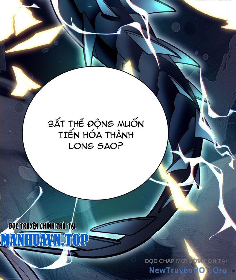 Thành Thần Bắt Đầu Từ Thủy Hầu Tử Chapter 53 - Trang 2