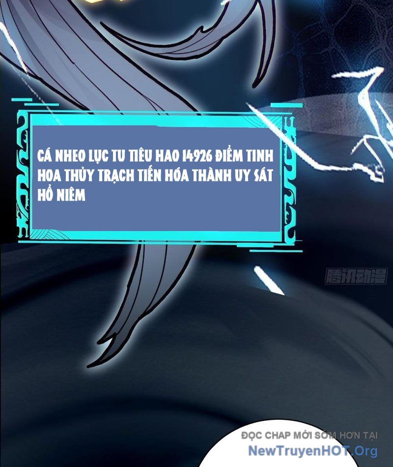 Thành Thần Bắt Đầu Từ Thủy Hầu Tử Chapter 53 - Trang 2