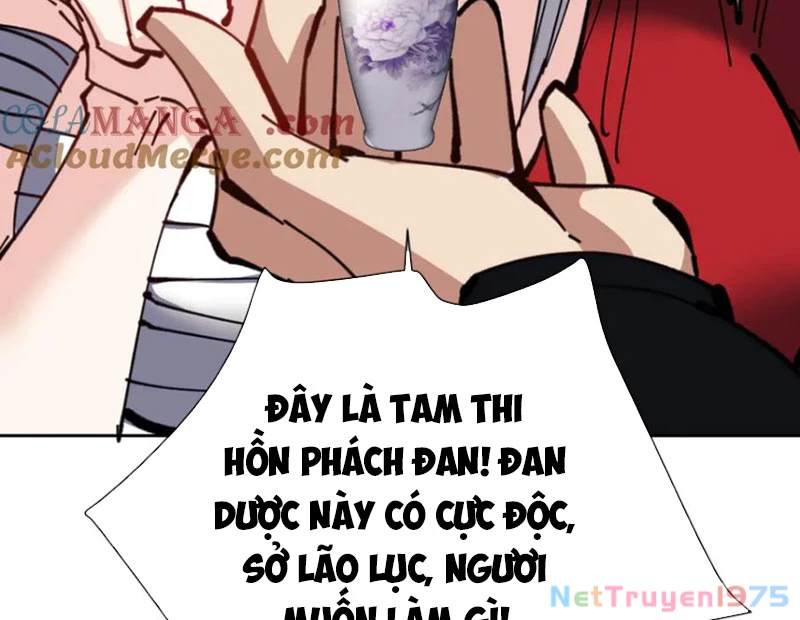 Sư Tôn: Nghịch Đồ Này Mới Không Phải Là Thánh Tử Chapter 127 - Trang 2