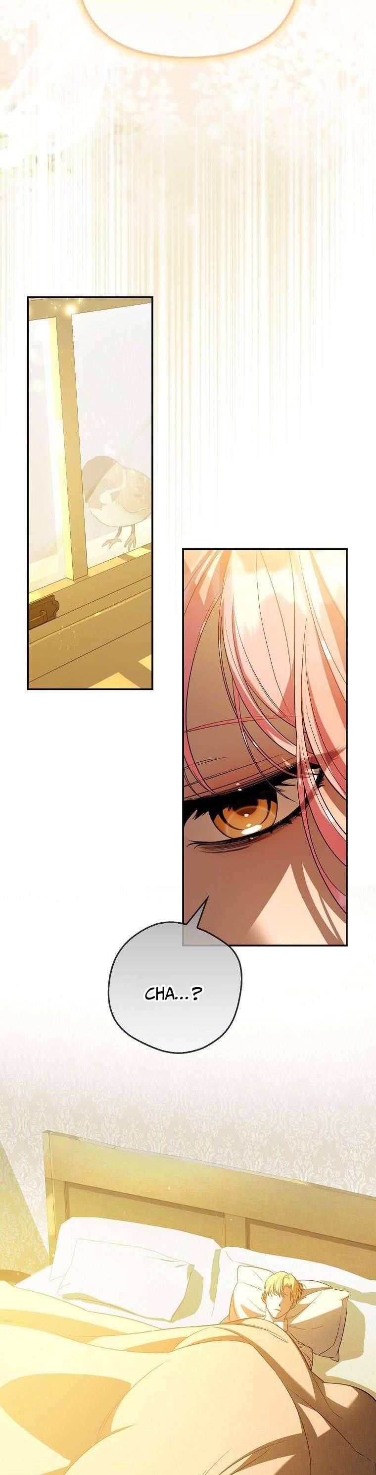 Các Nam Chính Bị Mắc Kẹt Trong Nhà Tôi Chapter 23 - Trang 2