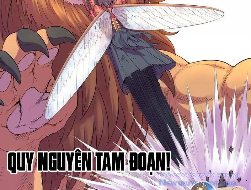 Côn Thôn Thiên Hạ Chapter 348 - Trang 2