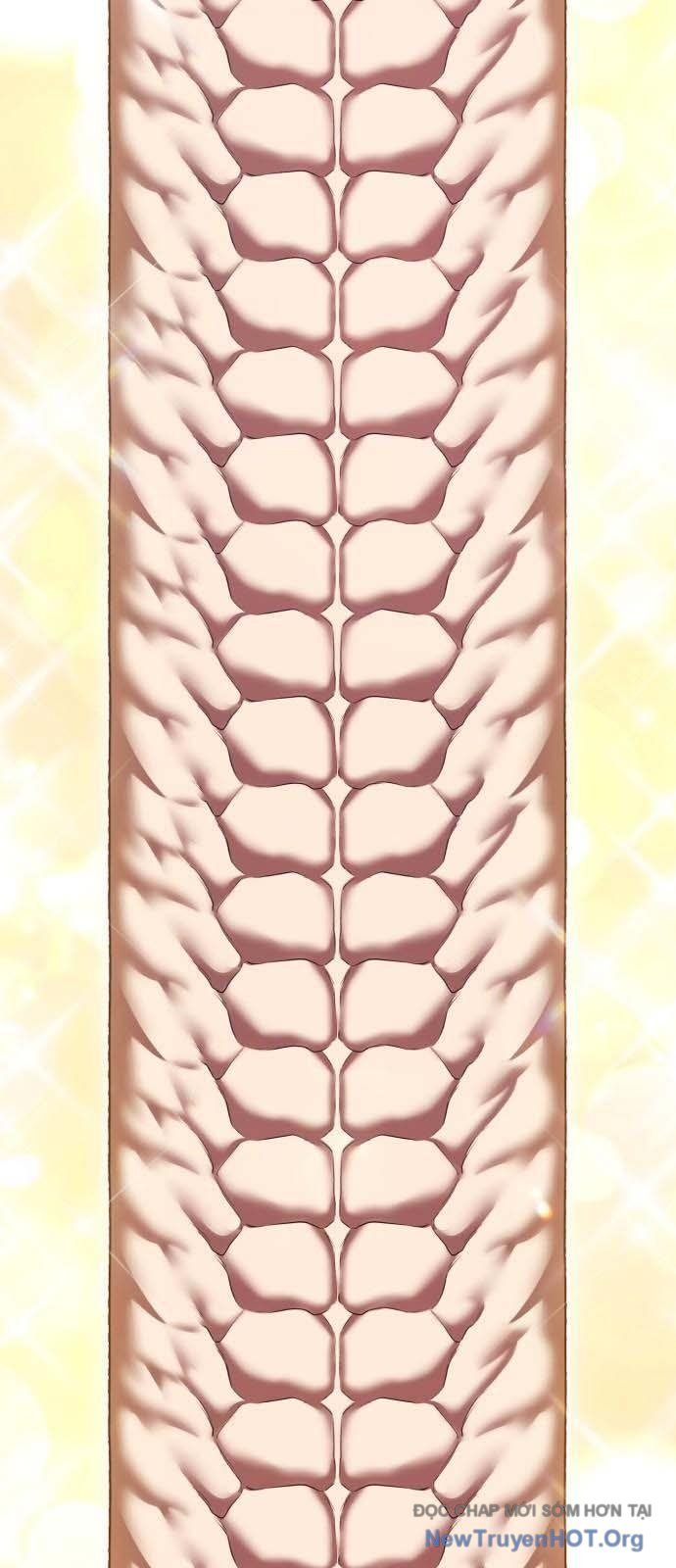 Gậy  Cấp 99 Chapter 129 - Trang 2