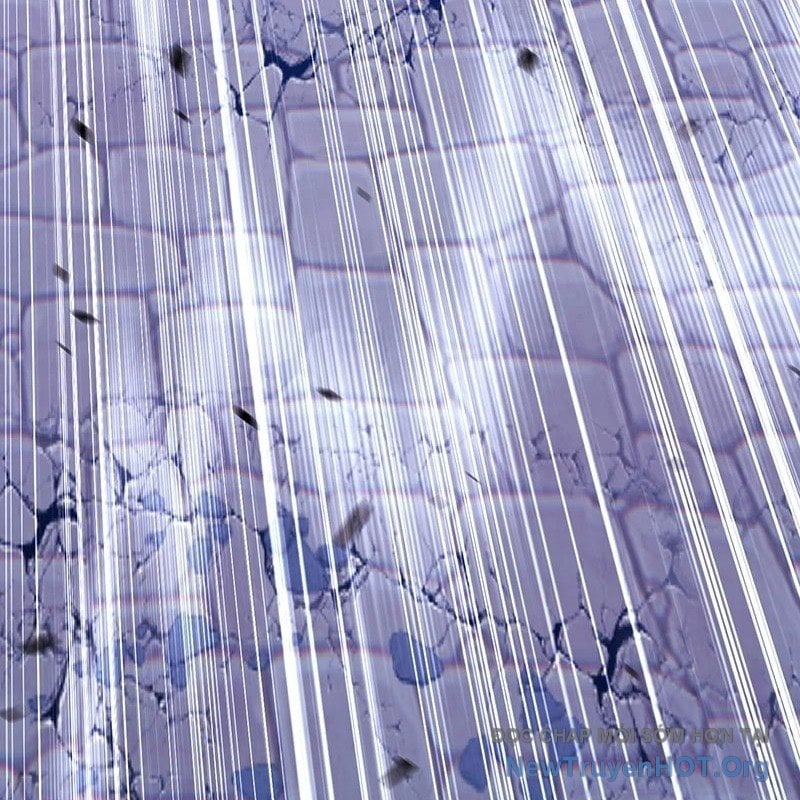 Gậy  Cấp 99 Chapter 145 - Trang 2