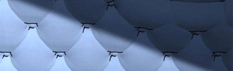 Trở ThàNh Vô ĐịCh BằNg Hệ ThốNg GiảM Giá Trị Chapter 51 - Trang 2