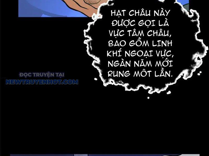Đô Thị Cực Phẩm Y Thần Chapter 178 - Trang 2