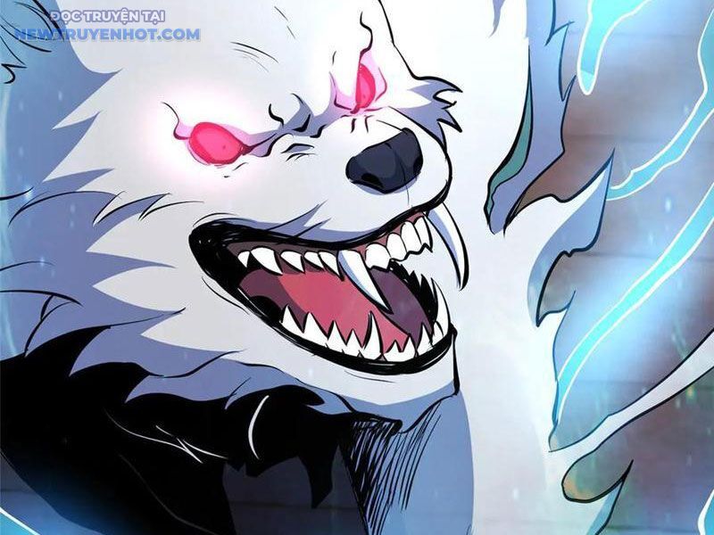 Đô Thị Cực Phẩm Y Thần Chapter 215 - Trang 2