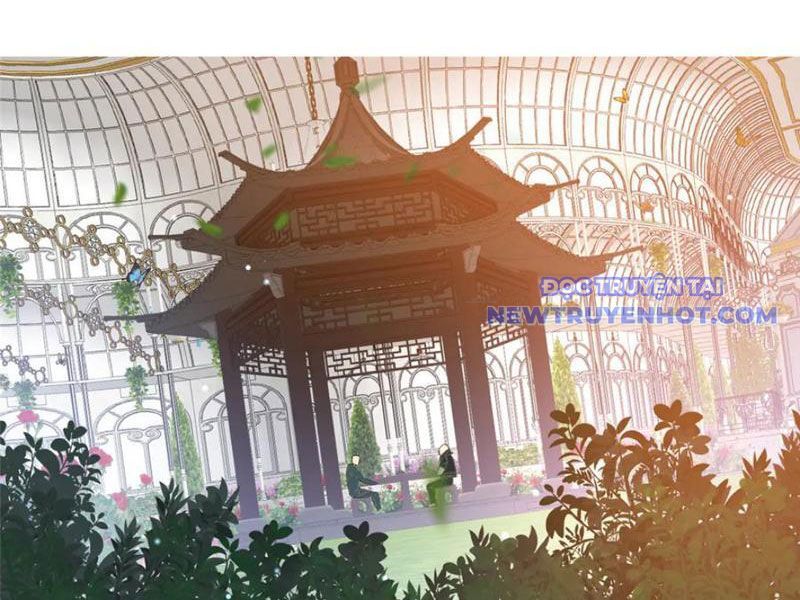 Đô Thị Cực Phẩm Y Thần Chapter 227 - Trang 2