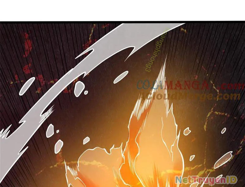 Đô Thị Cực Phẩm Y Thần Chapter 235 - Trang 2