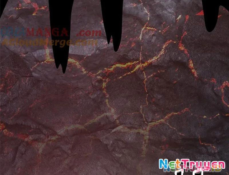 Đô Thị Cực Phẩm Y Thần Chapter 235 - Trang 2