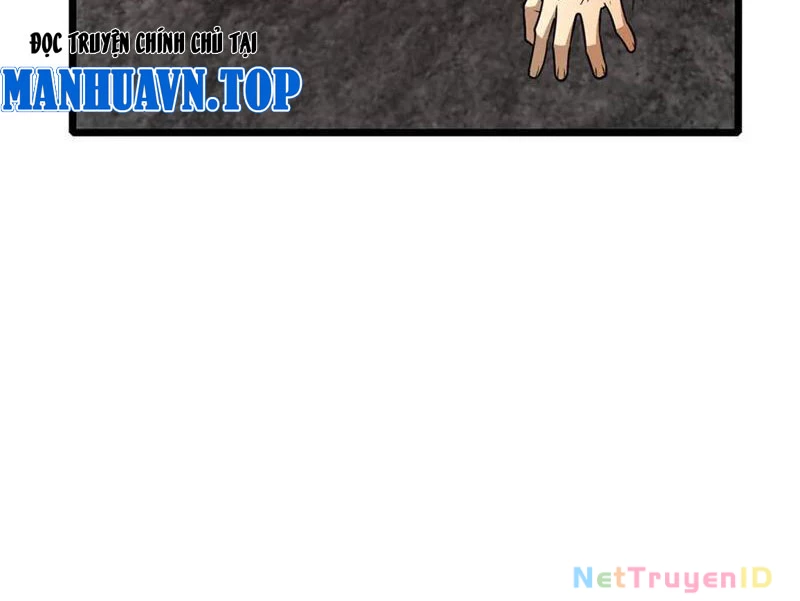 Đô Thị Cực Phẩm Y Thần Chapter 236 - Trang 2