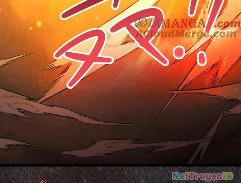 Đô Thị Cực Phẩm Y Thần Chapter 236 - Trang 2