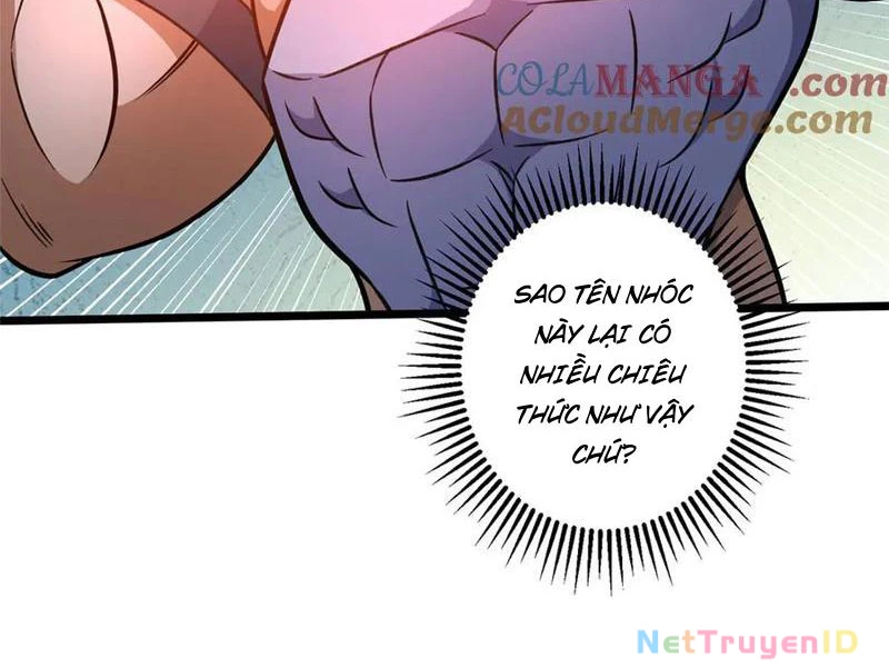 Đô Thị Cực Phẩm Y Thần Chapter 236 - Trang 2