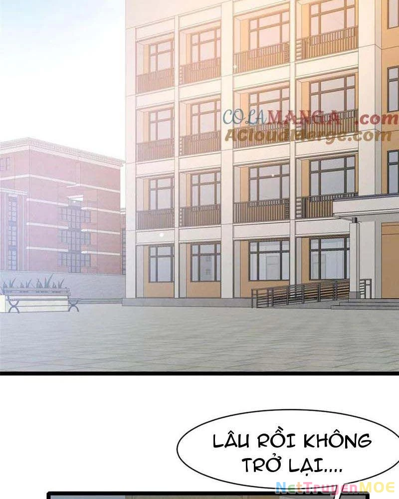 Đô Thị Cực Phẩm Y Thần Chapter 240 - Trang 2