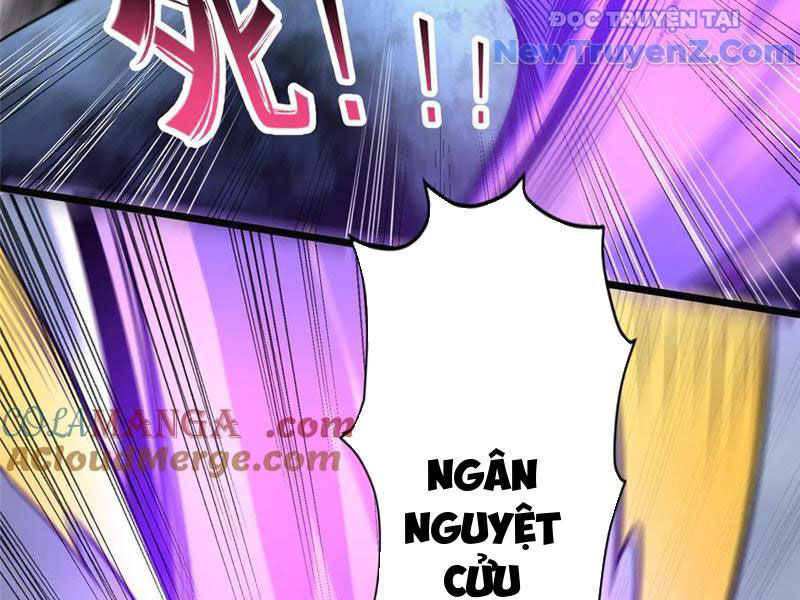 Đô Thị Cực Phẩm Y Thần Chapter 254 - Trang 2